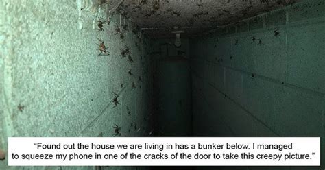An Image Of A Hallway With Bugs Crawling On The Walls And In The