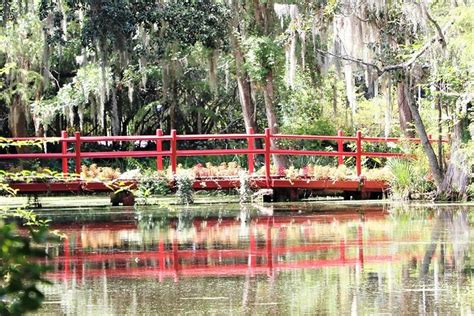 Magnolia Plantation And Gardens Charleston Tickets And Tours 2024
