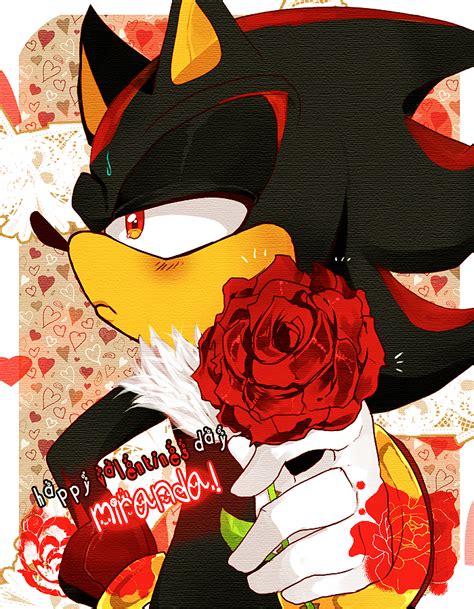 A Rose For You Shadow The Hedgehog Fan Art 29284247 Fanpop