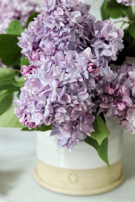 How To Arrange Your Lilac And Keep Them From Wilting 6 Lemon Grove Lane