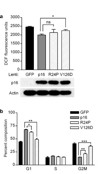 Figure S2 Functional Activities Of Familial Melanoma Associated P16