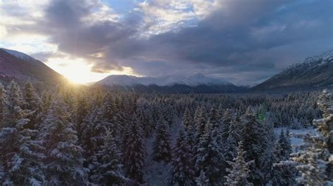 Scenic View Of Snowy Alaskan Forest At Sunset Clipstock
