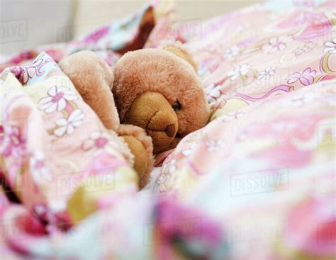Teddy Bear In Bed Stock Photo Dissolve