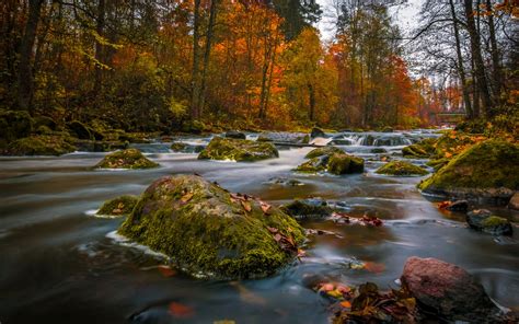 Hd Wallpaper Nukari Finland Autumn Forest River Stones