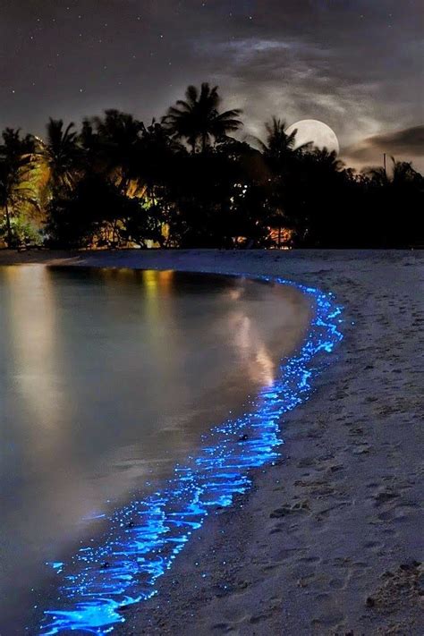 Maldivas Playas Desiertas El Paraíso Te Llevamos Con Viajarsolo Viajarsolo