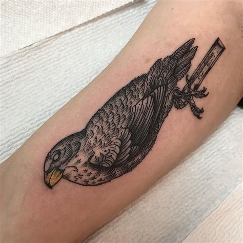 (open this link in a new browser) it will have to be filled out entirely, include references, photos of the. Darwin's finch by @henbohenning | Tattoos, Animal tattoo ...