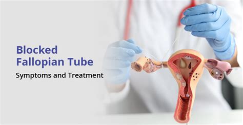 Blocked Fallopian Tubes Causes Symptoms And Treatment Birla
