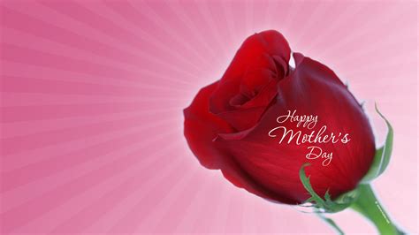Happy Mothers Day Word On Red Rose In Pink Background Hd Happy Mother
