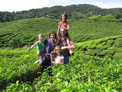 Cs travel also provides 4 daily departures at 10. O'Neal-Freemans in Malaysia: Cameron Highlands, Malaysia ...