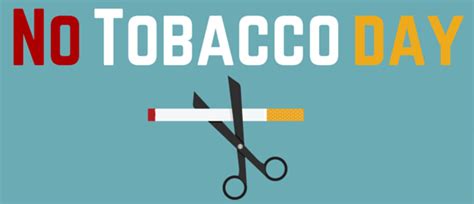 Tobacco day illustrations & vectors. World No Tobacco Day To Be Observed On May 31