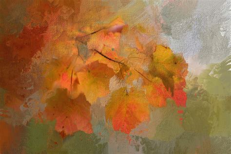 무료 이미지 나무 자연 조직 잎 가을 꽃 빨간 색깔 시즌 단풍 그림 추수 감사절 이파리 현대 미술