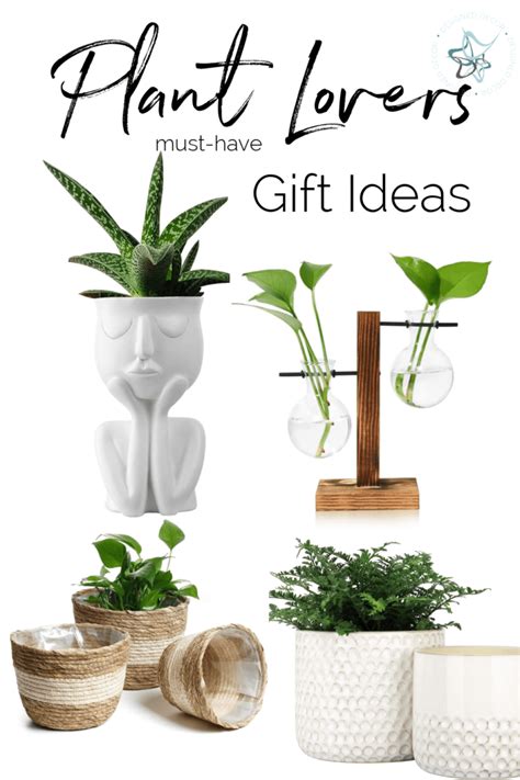 Affordable Must Have T Ideas For Plant Lovers Designed Decor