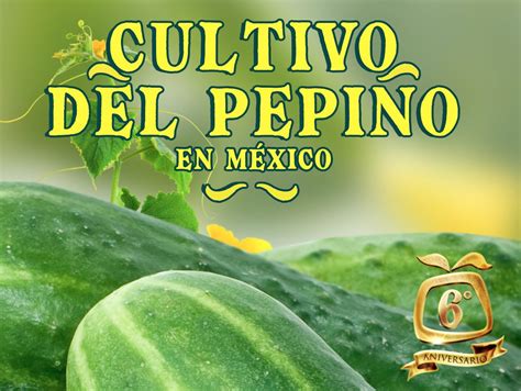 Pepino Mayo 2021 Revista Infoagro México