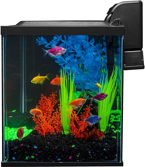 Glofish 10 Gallon Aquarium Fish Tank Kit With Led Filter