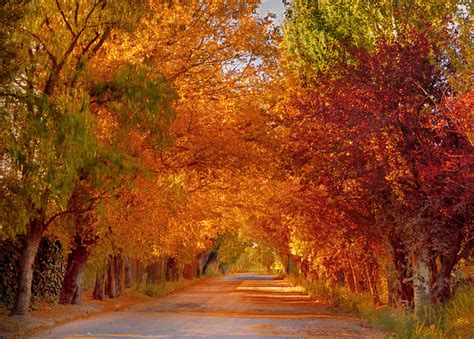 El tiempo en mendoza continúa con temperaturas no mayores a los 30ºc. Outono em Mendoza | Mendoza Travel
