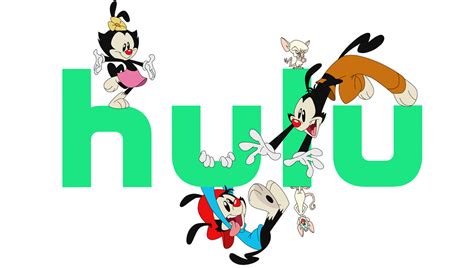 Will netflix produce the healing powers of dude season 2? Animaniacs Reboot Hulu Release Date Set for November ...