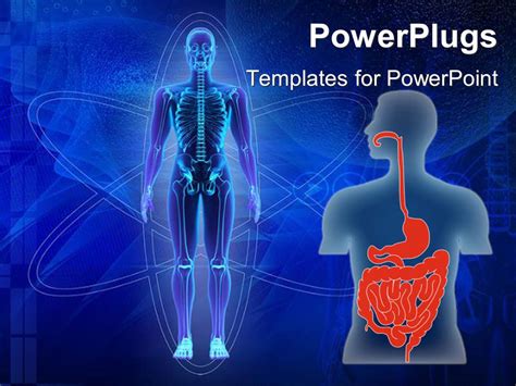 Powerpoint Template Human Body Showing Skeleton And Human Torso With
