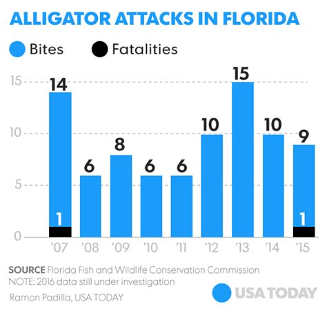 How Often Do Alligator Attacks Happen In Florida