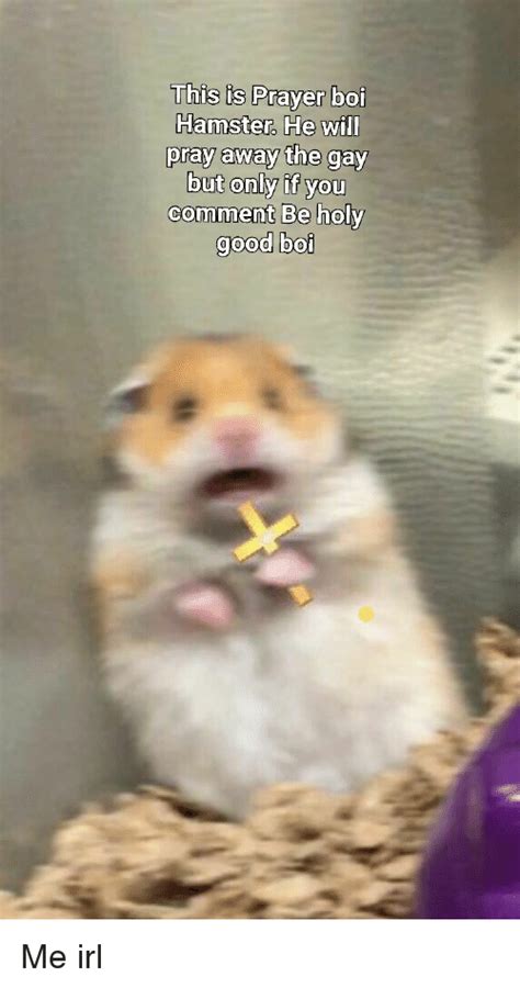 This Is Prayer Boi Hamster He Wil Pray Away The Gay But Only If You Comment Be Holy Good Boi