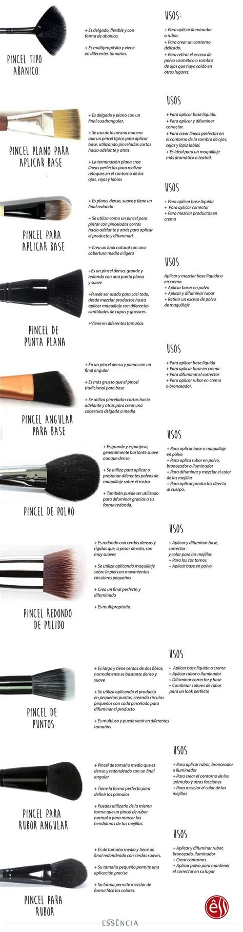 Tipos De Brochas De Maquillaje Y Sus Princilapes Usos Beauty Makeup
