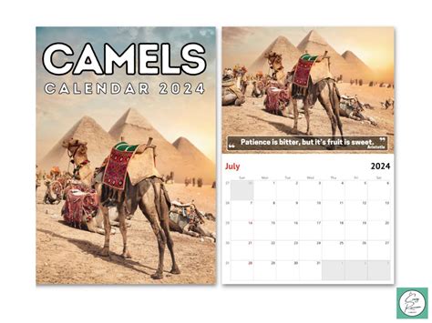 Camels Wall Calendar 2024 Cute T Idea For Camel Lovers Etsy