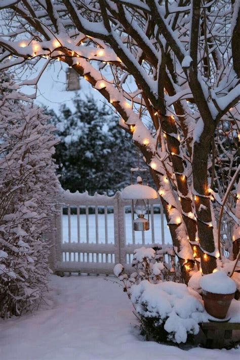 Pin By Carol Woods On Buon Natale Winter Pictures Winter Scenes