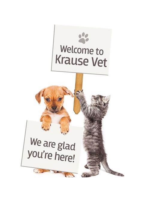 Well pet vet clinic is a primary care,veterinary family practice. Benefits Of Visiting The Vet Clinic. - Pet Life Here