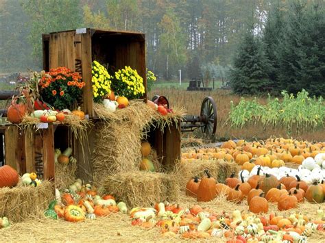 Fall Farm Desktop Wallpaper