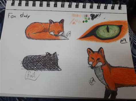 Please Follow Fox Study Littlefox Babyfox Kit Kitten Foxlove