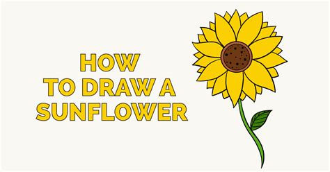 How to Draw a Sunflower - Really Easy Drawing Tutorial This tutorial shows the sketching and drawing steps from start to finish.