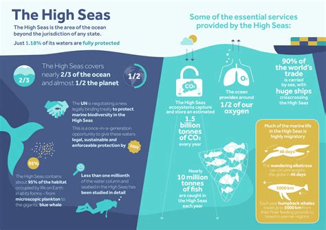 Infographics One Ocean