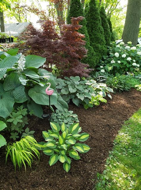 Beautiful Hosta Garden Ideas