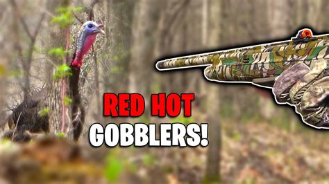 RUNNING TO THE CALL Early Season Public Land Gobblers YouTube