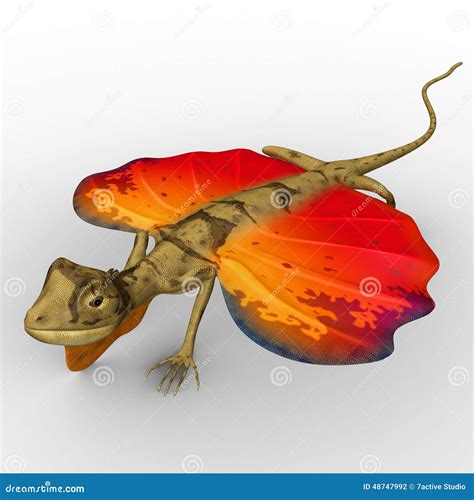 Flying Lizard Stock Illustration Image 48747992