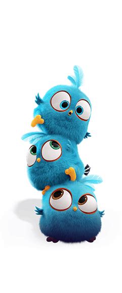 The spix's macaw made its famous onscreen debut as a charming parrot named blu in disney's animated film rio. but a new study shows the brazilian bird is now extinct in the wild. Characters | Angry Birds