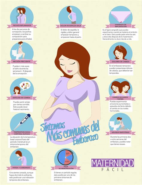 Flujo Primeros Dias Embarazo Antes Primera Falta - 4 semanas de embarazo – Los primeros síntomas | Maternidadfacil