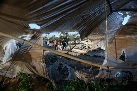 הבלוגרית דימא סאדק שהאשימה את מנהיג חיזבאללה לאחר הפיצוץ בנמל ביירות לא חוזרת בה ותוקפת שוב את חסן נסראללה: בלבנון צה"ל היה צריך להגיב על ירי הטיל של חיזבאללה מול ...