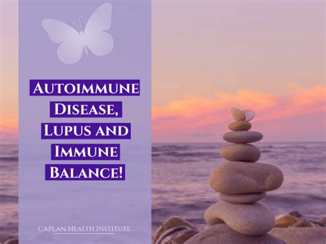 Immune Balance Balancing The Immune System Caplan Health Institute