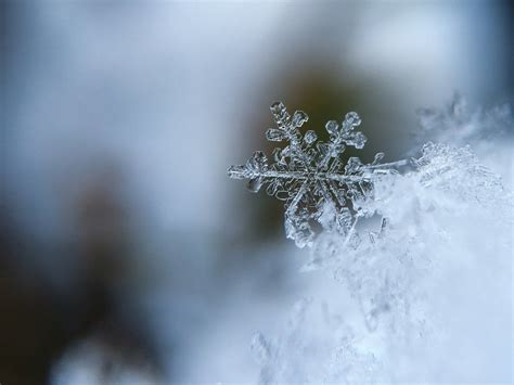 The Science Behind Snowflakes