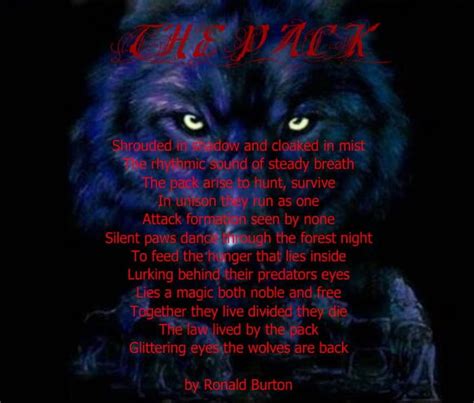 Wolf Spirit Poem