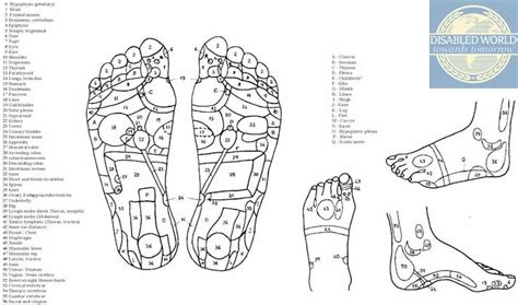 Reflexology Points Reflexology Foot Chart Acupressure Points Foot
