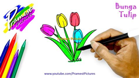 Tulip Cara Menggambar Dan Mewarnai Gambar Bunga Untuk Anak Anak Youtube