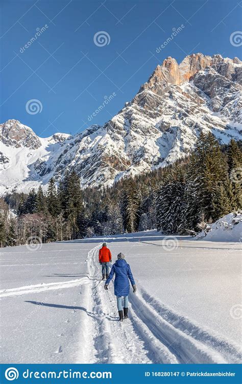 un paisaje de invierno soleado en la naturaleza grupo de personas caminan por senderos nevados