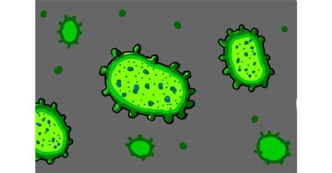 Bacteria Drawing Gallery And How To Draw Videos