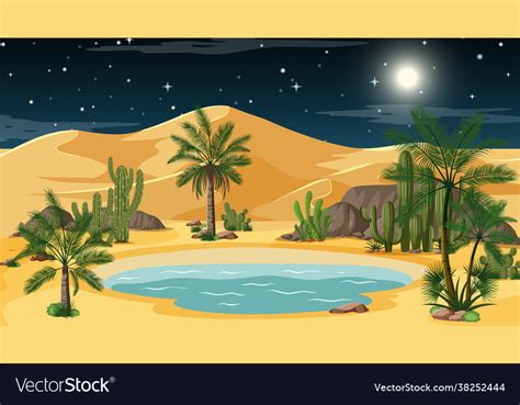 Real Desert Oasis At Night