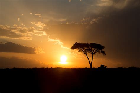 Epic Tanzania - Africa destinations | Epic Private Journeys