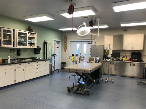 Veterinarian Office Pictures