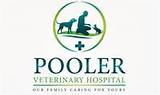 Pooler Veterinary Hospital Bloomingdale Ga Pictures