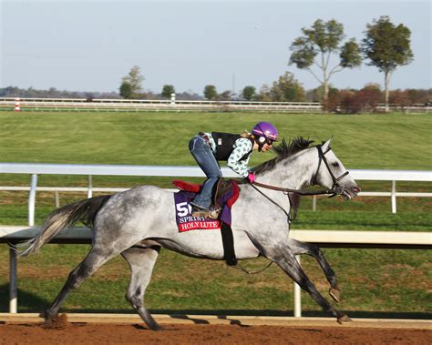 Turf Sprint: Holy Lute placed on pre-entries for correct race