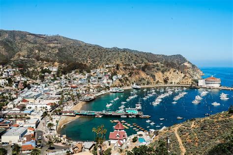 Fun Things To Do On Catalina Island In October